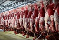 واردات گوشت از رومانی و استرالیا از هفته آینده