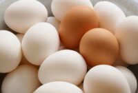 قیمت تمام شده تولید تخم مرغ، بیشتر از نرخ مصوب است