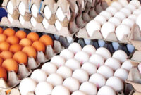 تولیدکننده، تخم مرغ را ۲۰ درصد زیر قیمت مصوب می‌فروشد