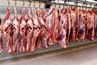 توزیع مستقیم گوشت قرمز در تهران برای کاهش قیمت