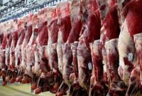 ۲۵ درصد گوشت قرمز کشور را عشایر تولید می کنند
