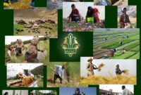 حمایت 16 هزار میلیاردی بانک کشاورزی از اشتغالزایی مددجویان کمیته امداد و بهزیستی