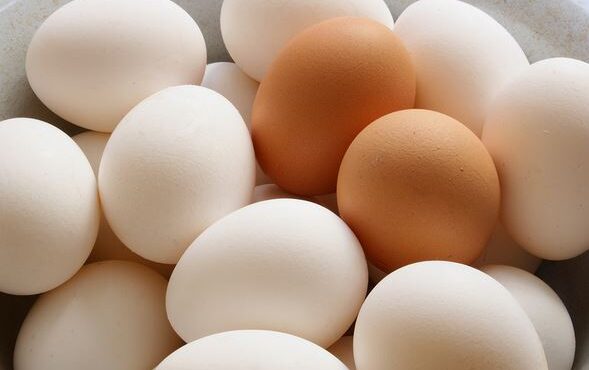 قیمت تمام شده تولید تخم مرغ، بیشتر از نرخ مصوب است