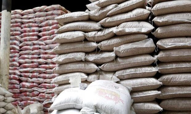مجوز صادرات برنج مازندران صادر شد