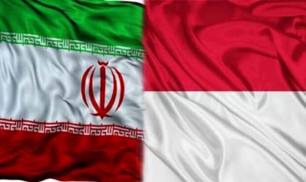 افزایش مبادلات تجاری ایران و اندونزی با رفع موانع