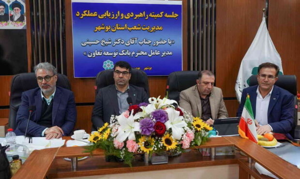ترکیب بهینه منابع سپرده ای عامل موفقیت بانک توسعه تعاون استان بوشهر است