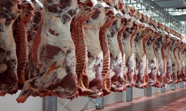 عرضه گسترده گوشت قرمز در بازار برای شب عید و ماه رمضان