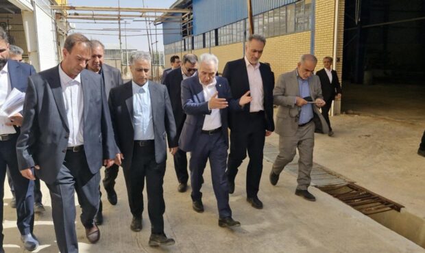 بازدید مدیرعامل بانك صنعت و معدن از 8 طرح تولیدی در استان فارس