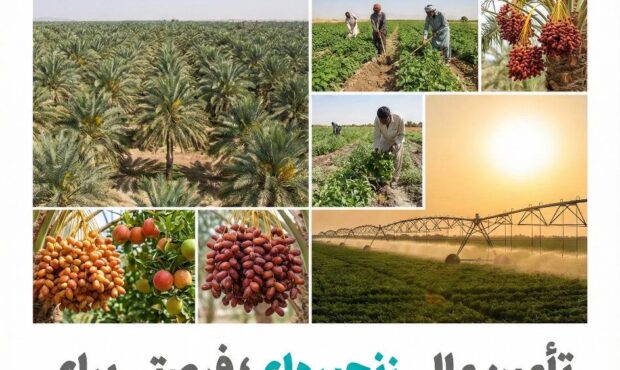 تأمین مالی زنجیره ای؛ فرصتی برای عبور کشاورزی سیستان و بلوچستان از فقر ساختاری به ارزش افزوده پایدار