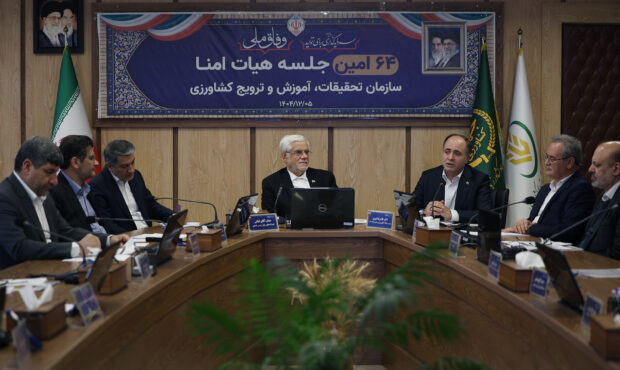 دکتر عارف: محصولات کشاورزی با هدف صادرات به بازارهای منطقهای تولید شود دکتر عارف: محصولات کشاورزی با هدف صادرات به بازارهای منطقهای تولید شود