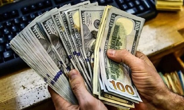 انتقال یارانه ارزی به مصرف کننده، سیاست درست دولت بود